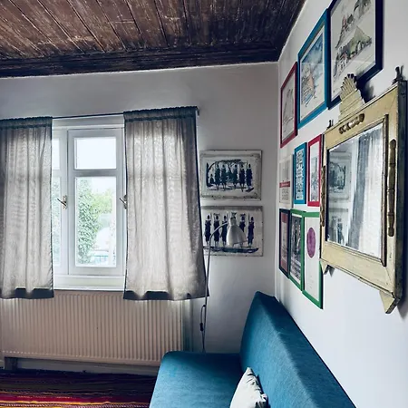 Roza's Apartment Istanbul