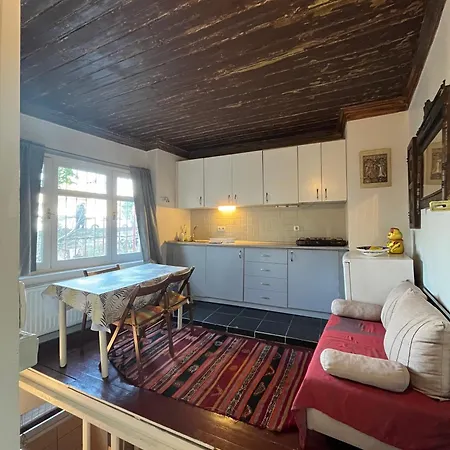 Roza's Apartment